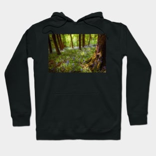 Woodland Charm Hoodie